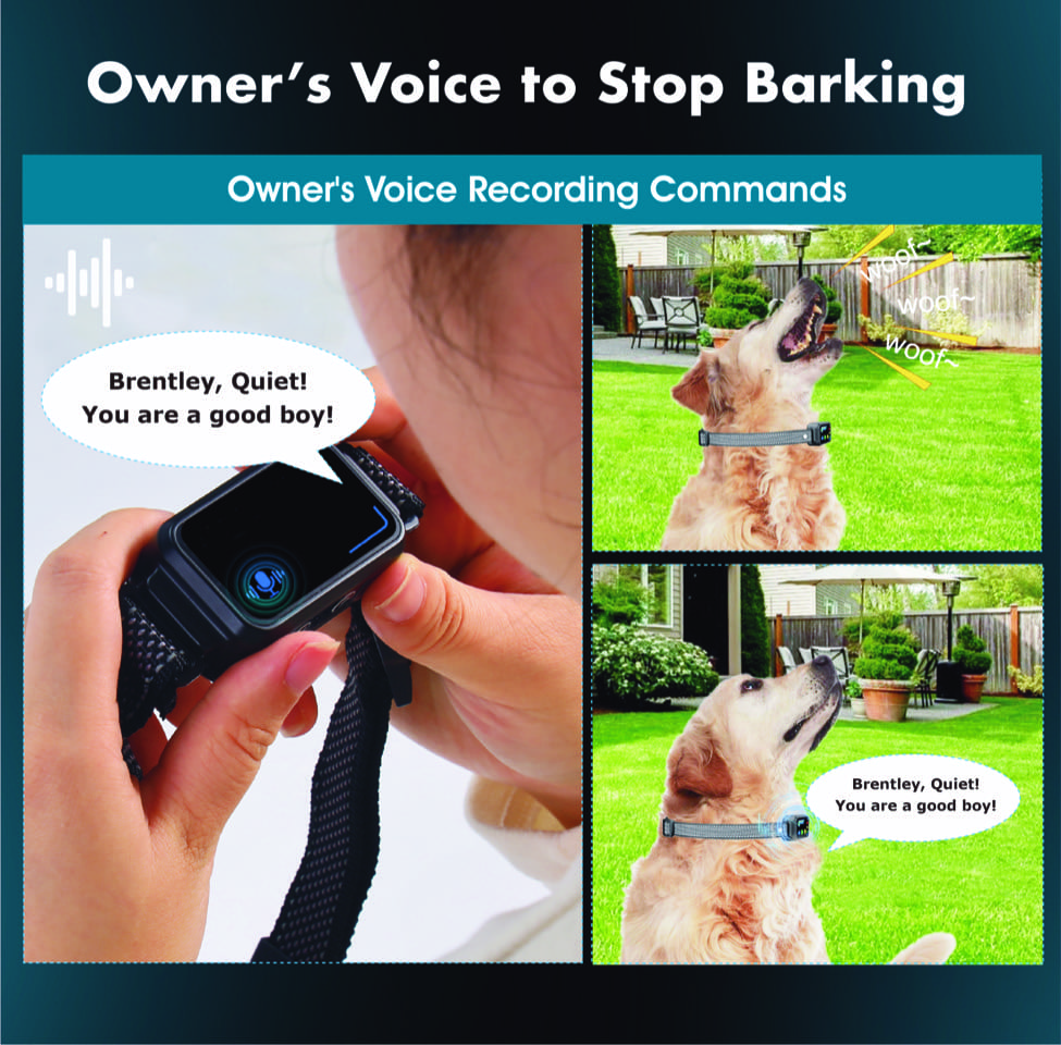 Electric dog collar AI Smart training el collar for dogs against barking voice recording