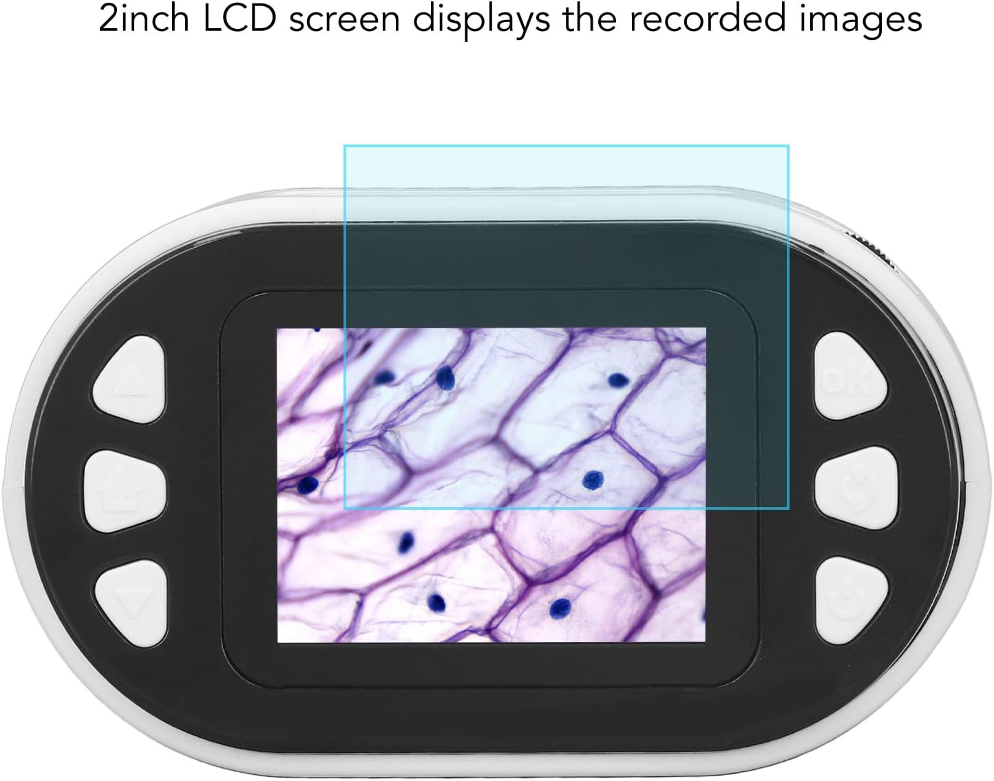 digital microscope and telescope with display for PC